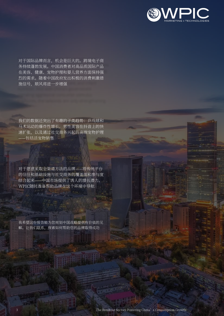 WPIC：2026赋能中国消费增长的爆发式赛道研究报告：2023–2025年电商数据分析（英文版）（27页）.pdf_第3页