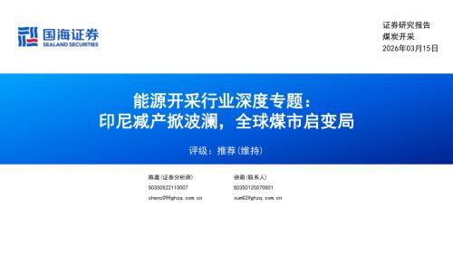 印尼2014-2024年耗煤量整体呈上升趋势_第3页