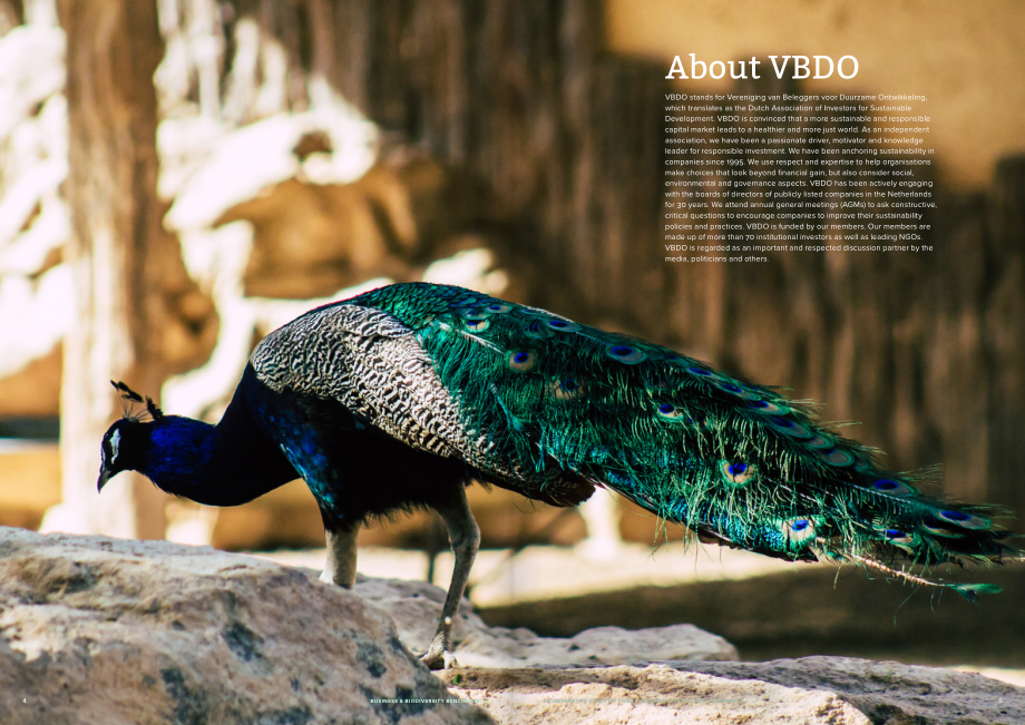 VBDO：2025商业与生物多样性基准：三十家欧洲上市公司对比研究报告（英文版）（27页）.pdf_第3页