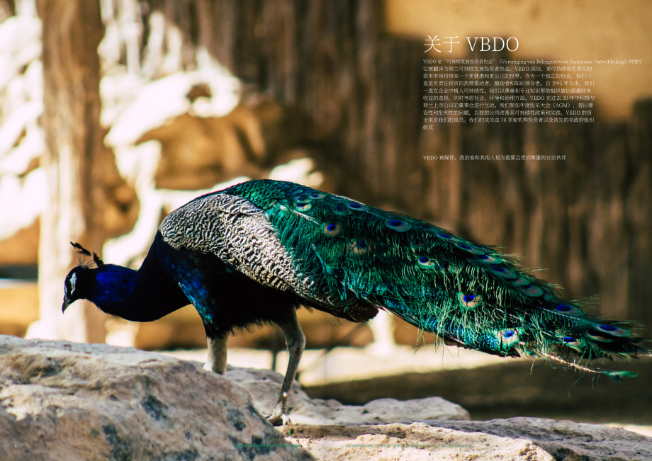 VBDO：2025商业与生物多样性基准：三十家欧洲上市公司对比研究报告（英文版）（27页）.pdf_第3页