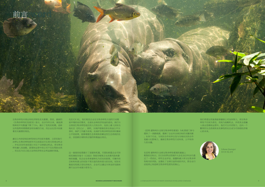 VBDO：2025商业与生物多样性基准：三十家欧洲上市公司对比研究报告（英文版）（27页）.pdf_第5页