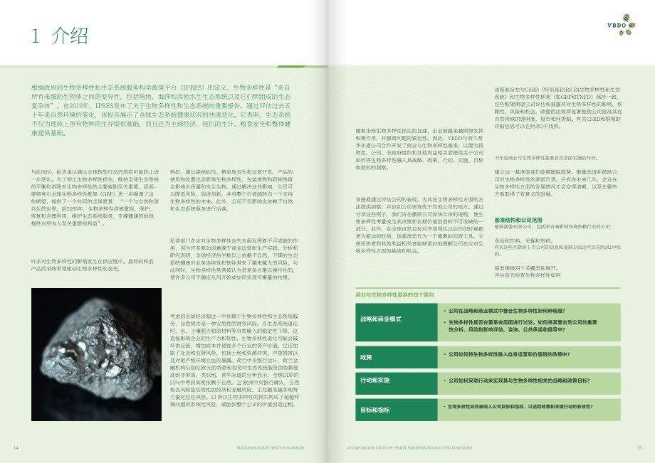VBDO：2025商业与生物多样性基准：三十家欧洲上市公司对比研究报告（英文版）（27页）.pdf_第8页