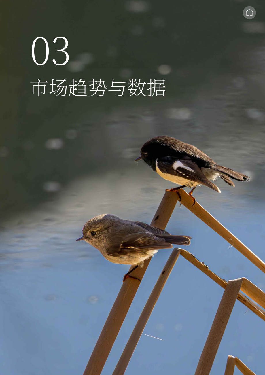 德勤：2026联结自然、气候与资本：新西兰自愿性自然基础信用额度国内外市场潜力解锁之道报告（英文版）（54页）.pdf_第13页