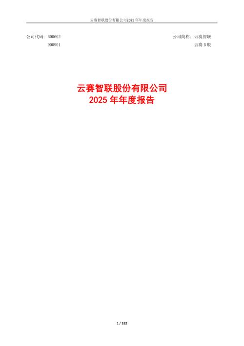 云赛智联：云赛智联2025年年度报告.PDF