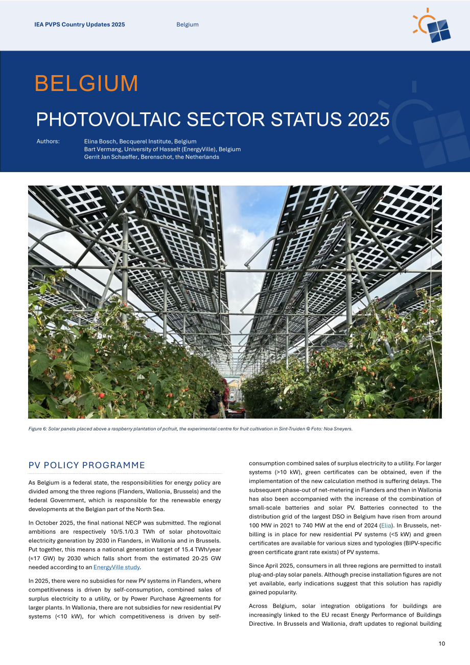 IEA PVPS：2025年国家更新报告：全球光伏技术、政策与市场发展分析（英文版）（93页）.pdf_第10页