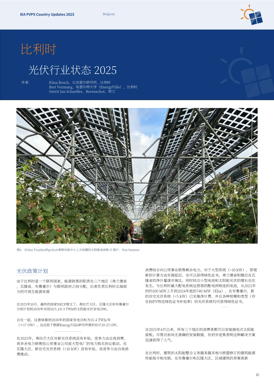 IEA PVPS：2025年国家更新报告：全球光伏技术、政策与市场发展分析（英文版）（93页）.pdf_第10页