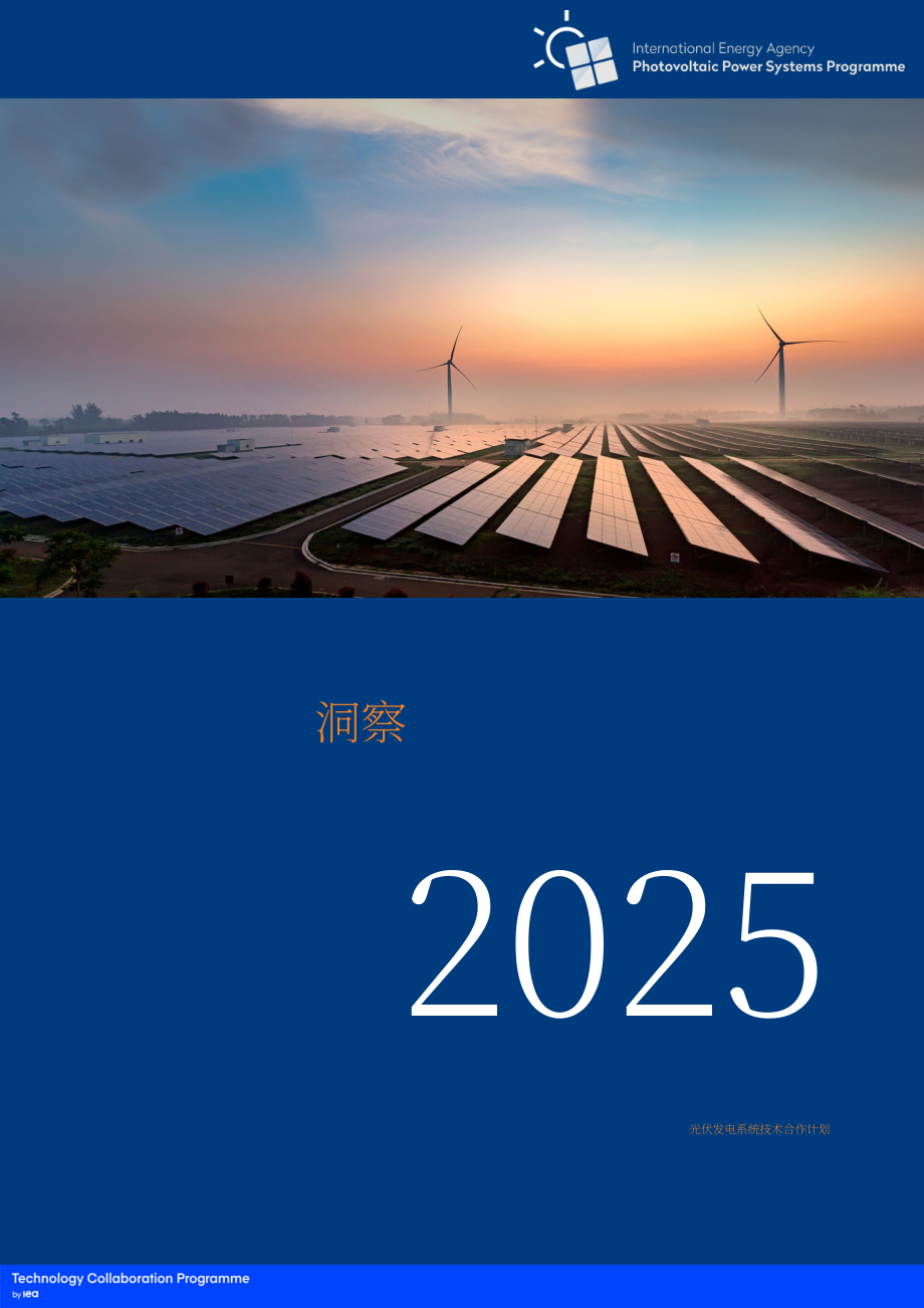 IEA PVPS：2025年度洞察报告：全球光伏市场和技术发展关键进展（英文版）（45页）.pdf_第1页