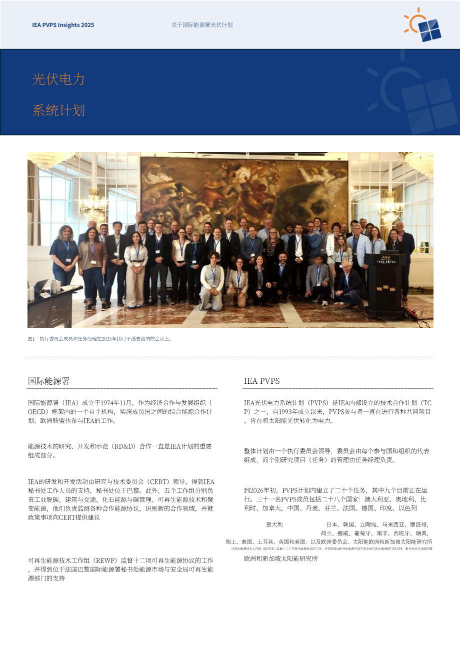 IEA PVPS：2025年度洞察报告：全球光伏市场和技术发展关键进展（英文版）（45页）.pdf_第4页