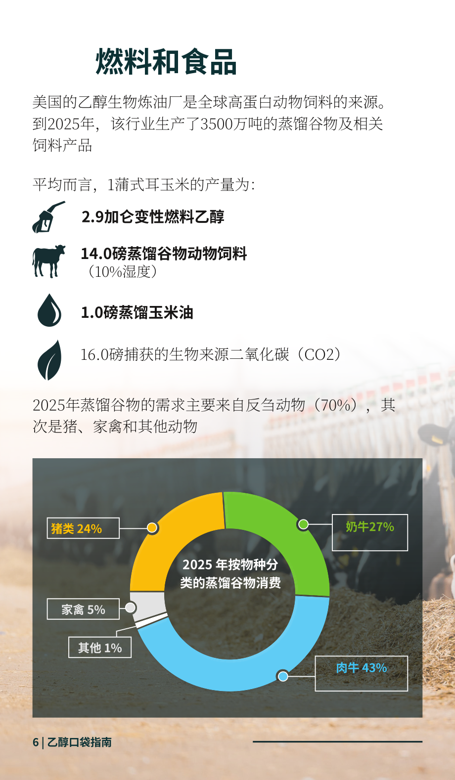 可再生燃料协会（RFA）：2026年乙醇行业口袋指南：乙醇潜能释放（英文版）（20页）.pdf_第8页