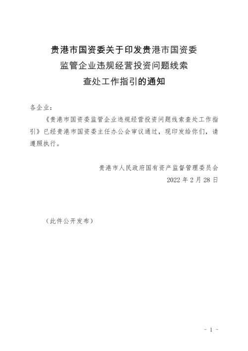 贵港市国资委：2022年贵港市国资委监管企业违规经营投资问题线索查处工作指引（15页）.doc