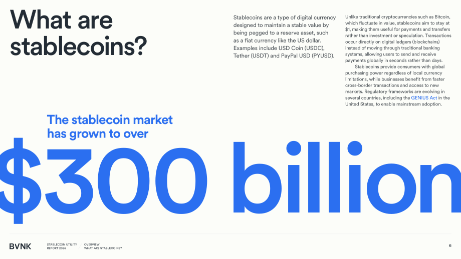 BVNK：2026年稳定币效用报告：全球消费者如何利用稳定币释放资金价值（英文版）（57页）.pdf_第6页