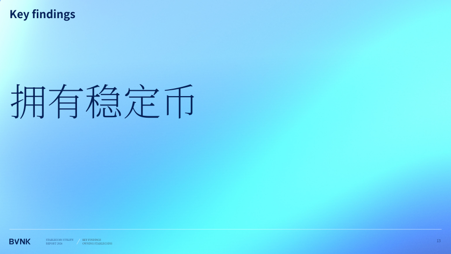 BVNK：2026年稳定币效用报告：全球消费者如何利用稳定币释放资金价值（英文版）（57页）.pdf_第13页
