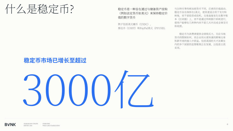 BVNK：2026年稳定币效用报告：全球消费者如何利用稳定币释放资金价值（英文版）（57页）.pdf_第6页