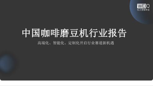 WEIQ红人营销平台：2026中国咖啡磨豆机行业报告（26页）.pdf