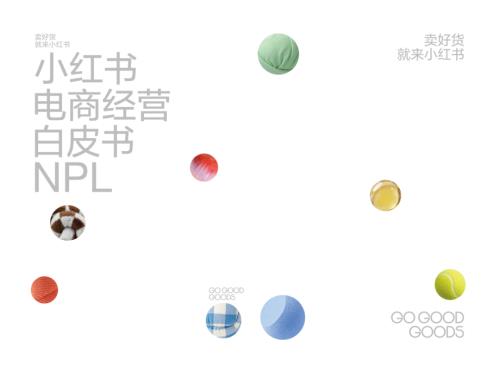 小红书：2026小红书电商经营白皮书NPL（51页）.pdf