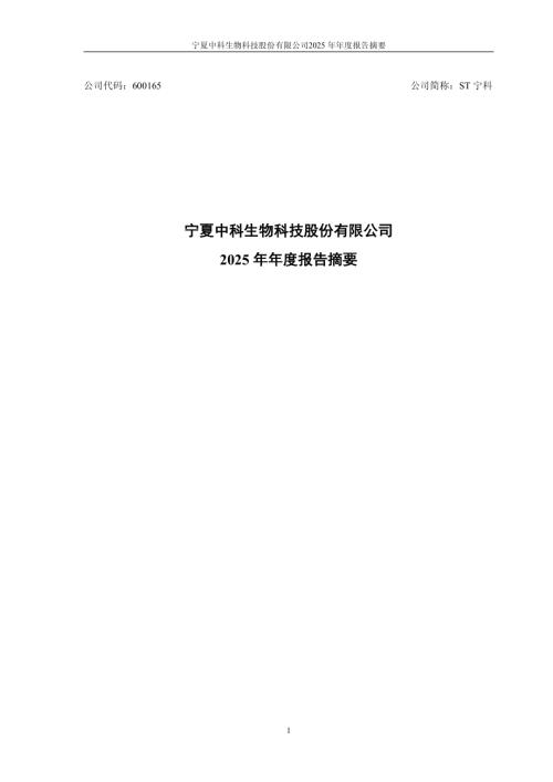 ST宁科：ST宁科2025年年度报告摘要.PDF