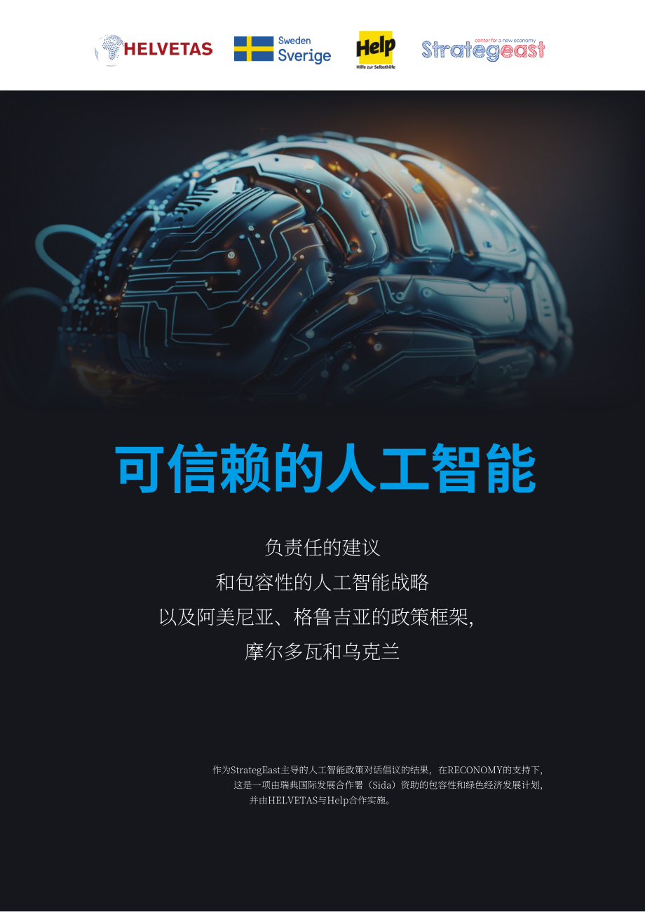 Strategeast：2025可信赖AI：人工智能战略与政策框架建议报告（英文版）（24页）.pdf_第1页