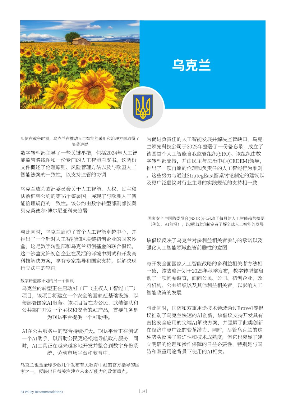 Strategeast：2025可信赖AI：人工智能战略与政策框架建议报告（英文版）（24页）.pdf_第14页