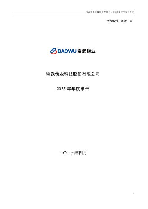 宝武镁业：2025年年度报告.PDF