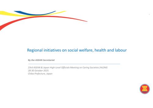 “关于社会福利、健康和劳工的区域倡议”（.pdf