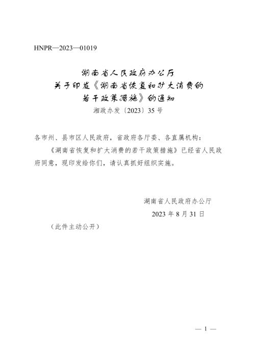 湖南省政府：2023年湖南省恢复和扩大消费的若干政策措施（12页）.doc
