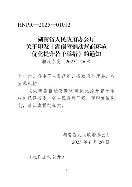 湖南省政府：2025年湖南省推动营商环境优化提升若干举措（17页）.docx