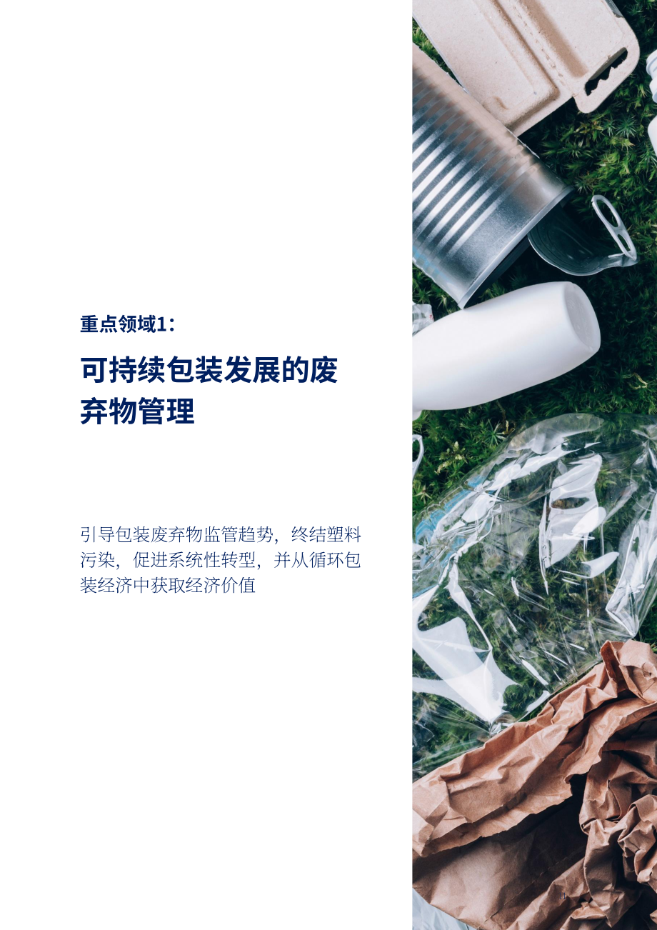 FaBA：2025澳大利亚食品饮料行业可持续包装趋势报告：循环包装经济转型机遇分析（英文版）（72页）.pdf_第11页