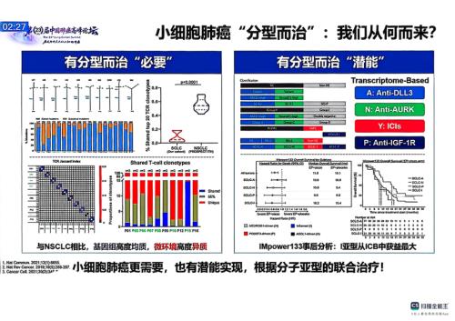 热点讨论：分子分型在小细胞肺癌治疗中的指导意义 (1).pdf