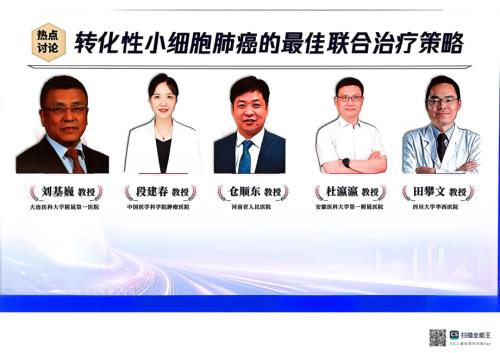 热点讨论：转化性小细胞肺癌的最佳联合治疗策略.pdf