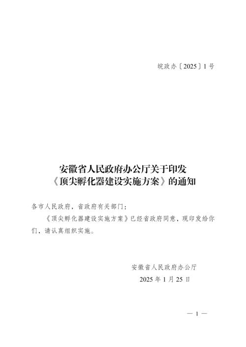 安徽省政府：2025年顶尖孵化器建设实施方案（8页）.pdf