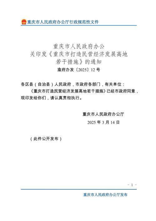 重庆市政府：2025年重庆市打造民营经济发展高地若干措施（16页）.doc