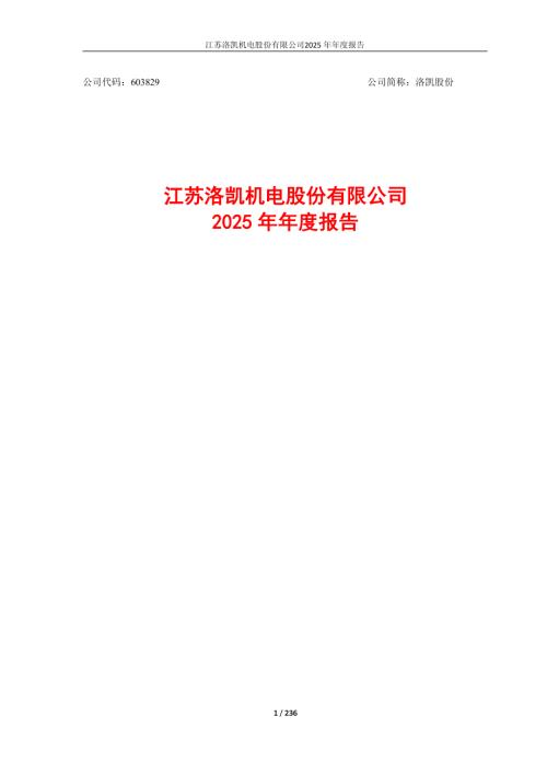 洛凯股份：洛凯股份：2025年年度报告.PDF
