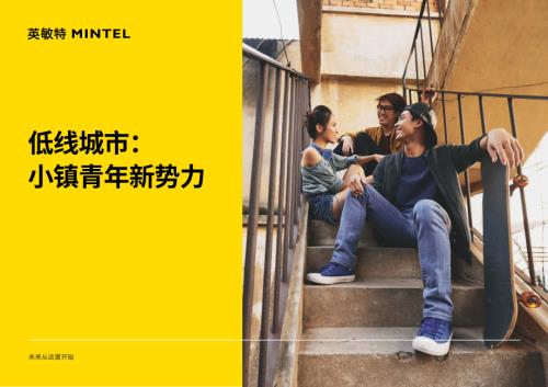 英敏特：2026低线城市：小镇青年新势力报告-精华版（17页）.pdf