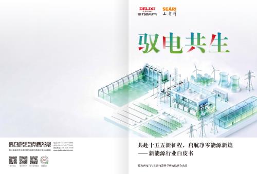 德力西电气：2026驭电共生：新能源行业白皮书（32页）.pdf