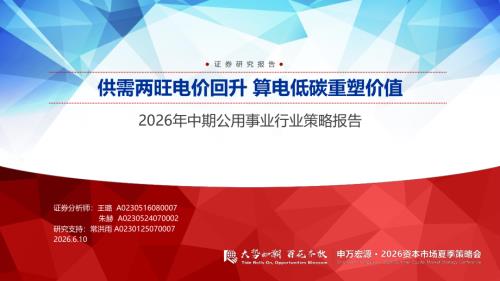 国内电源结构预测表（电量平衡，倒算煤电利用小时数，用煤电利用小时数反映电量供需格局）_第3页