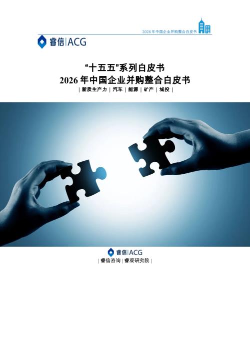 睿信咨询：2026年中国企业并购整合白皮书（63页）.pdf