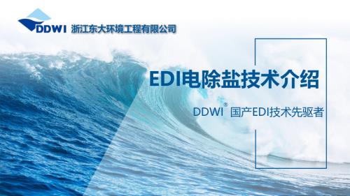 冯涛-深圳东大EDI技术PPT.pdf