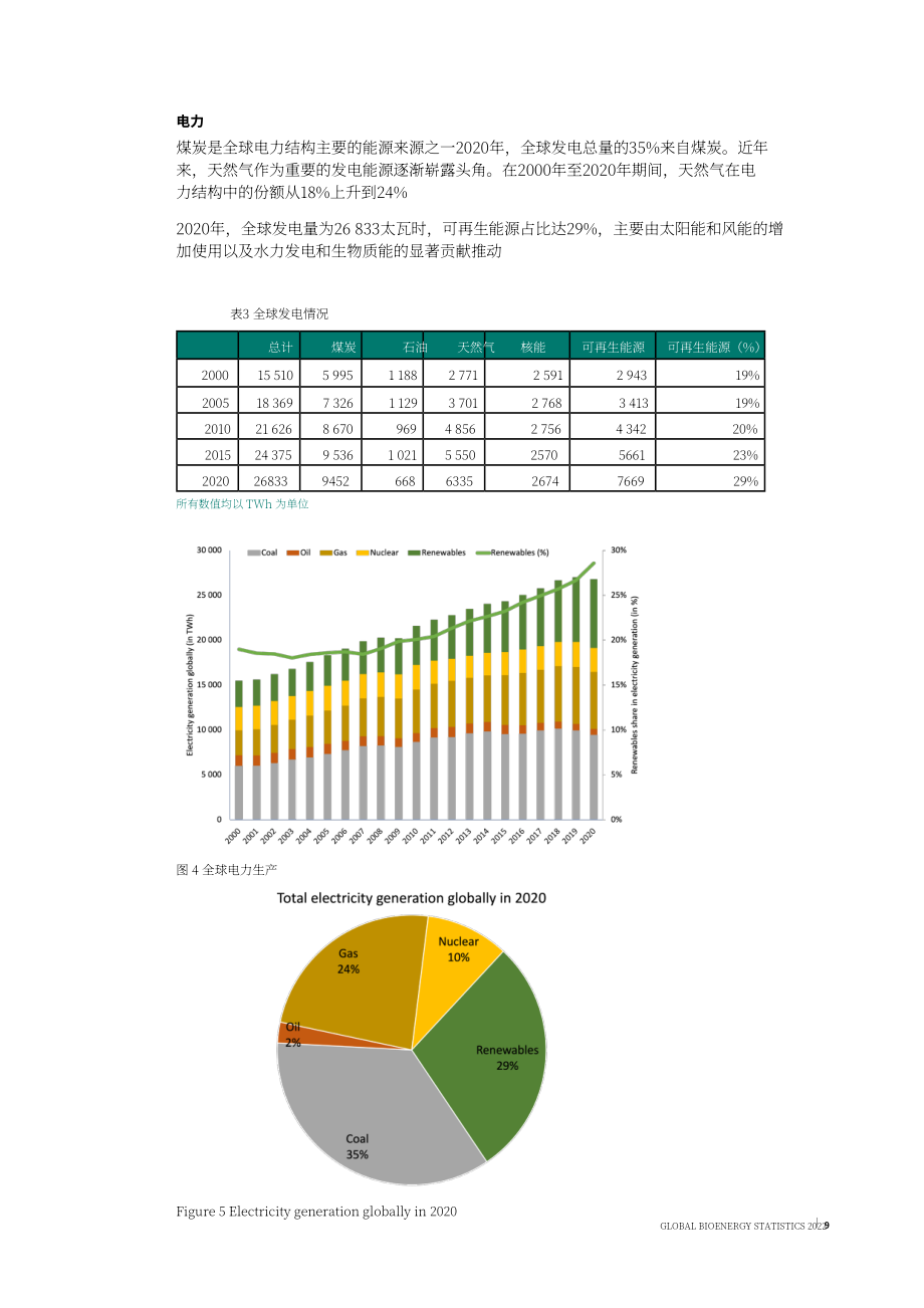 世界生物质能协会（WBA）：2022年全球生物质能统计报告（英文版）（47页）.pdf_第9页