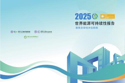 清华大学碳中和研究院：2025世界能源可持续性评价报告-聚焦全球性冲击影响（118页）.pdf