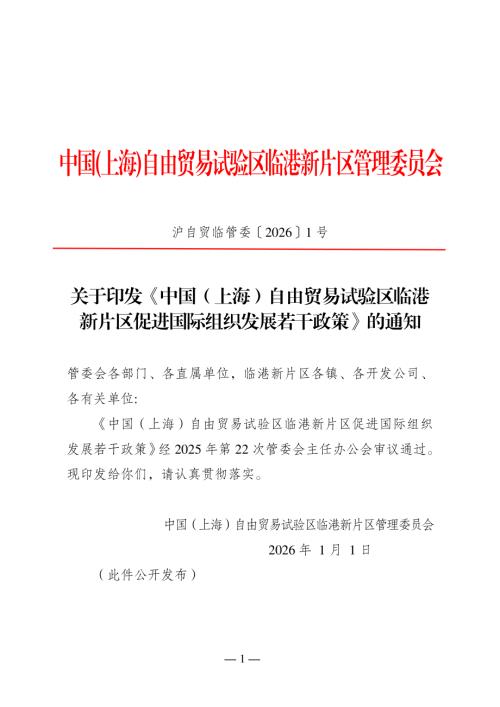 2026中国（上海）自由贸易试验区临港新片区促进国际组织发展若干政策（8页）.pdf