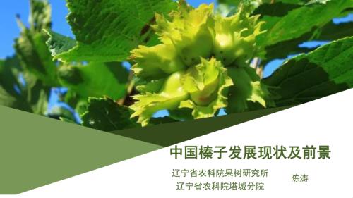 2-陈涛-中国榛子发展现状及前景.pdf