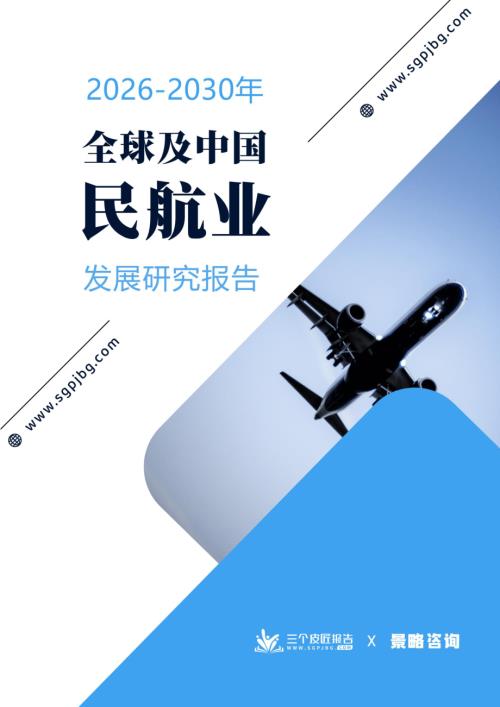 三个皮匠报告：2026-2030年全球及中国民航业发展研究报告