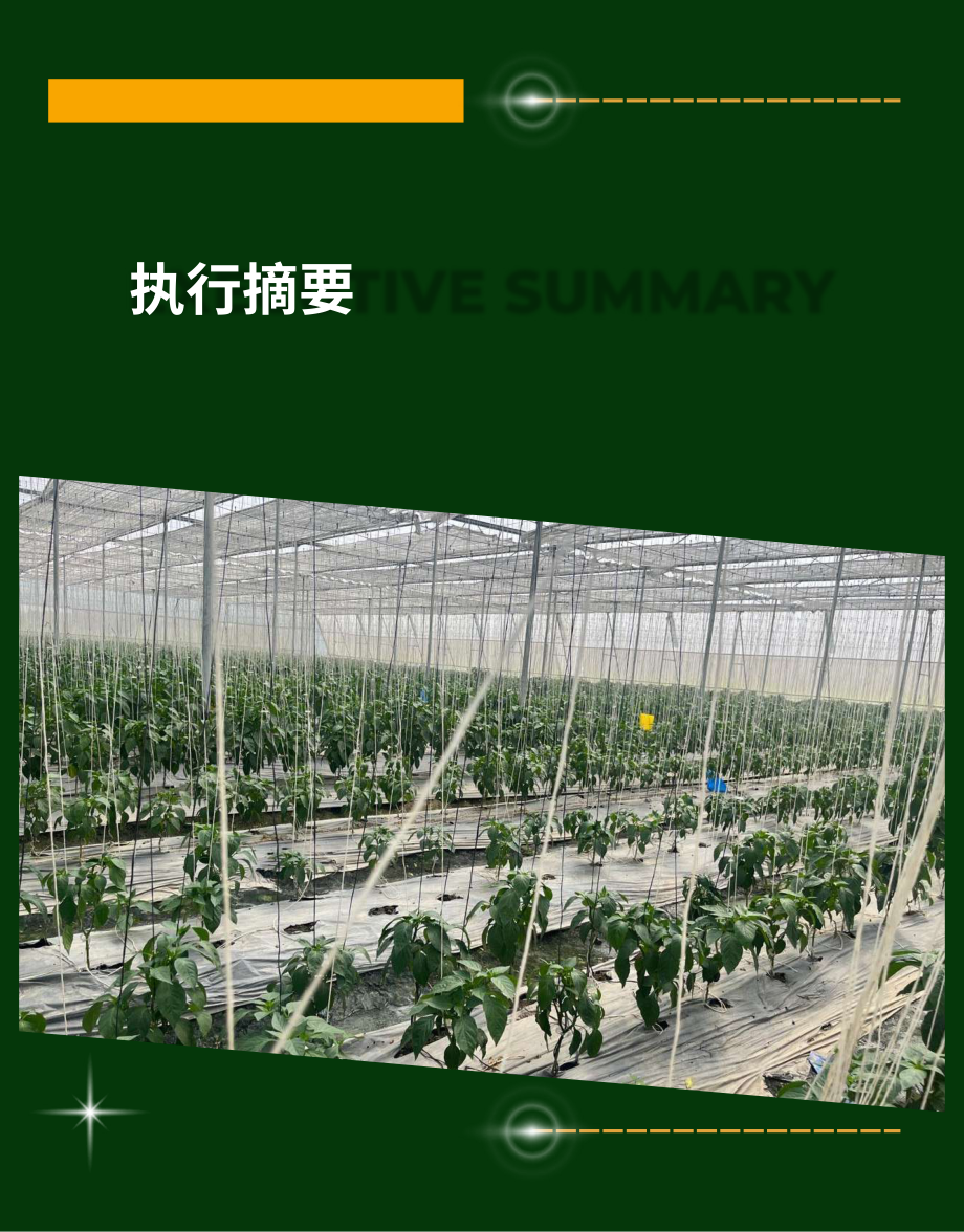 ICRIER & Kotak Karma：2026依托设施栽培提升印度农户收入研究报告（英文版）（105页）.pdf_第13页