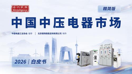 格物致胜：2026年中国中压电器市场白皮书-精简版（72页）.pdf