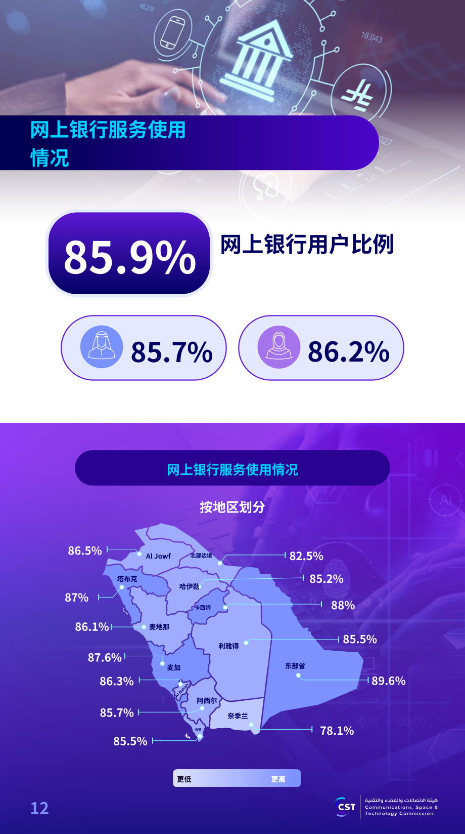 沙特通信、空间与技术委员会（CST）：2025年沙特阿拉伯互联网报告（英文版）（57页）.pdf_第12页