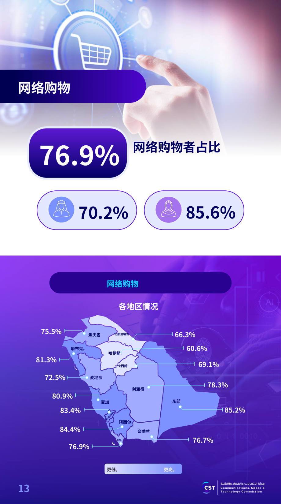 沙特通信、空间与技术委员会（CST）：2025年沙特阿拉伯互联网报告（英文版）（57页）.pdf_第13页