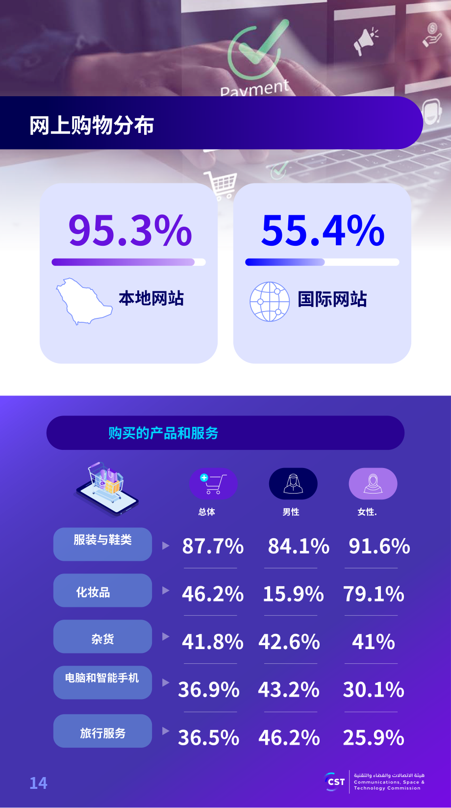 沙特通信、空间与技术委员会（CST）：2025年沙特阿拉伯互联网报告（英文版）（57页）.pdf_第14页