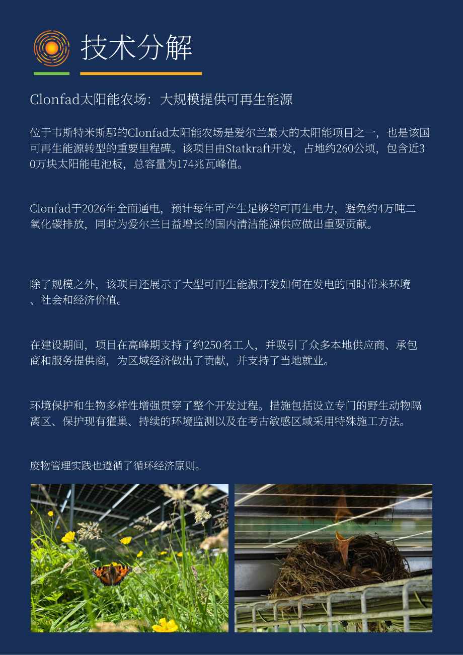 Solar Ireland：2026爱尔兰光伏产业规模报告（英文版）（60页）.pdf_第12页