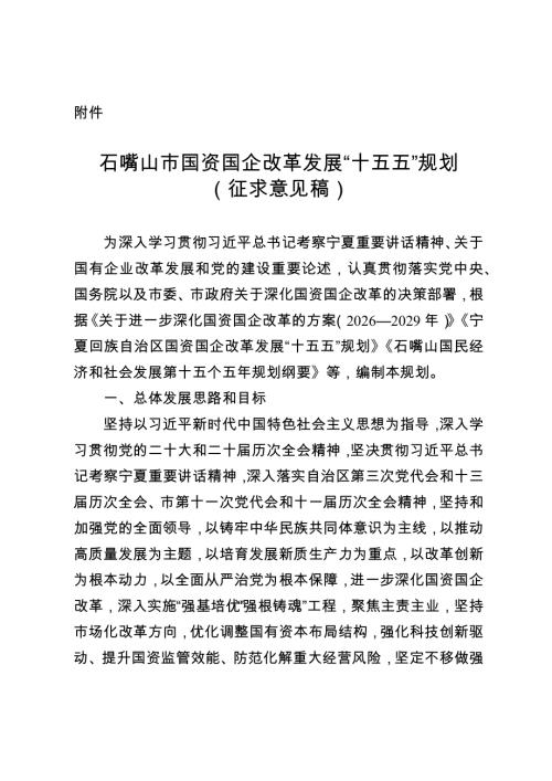 石嘴山市国资委：石嘴山市国资国企改革发展“十五五”规划（征求意见稿）（19页）.docx