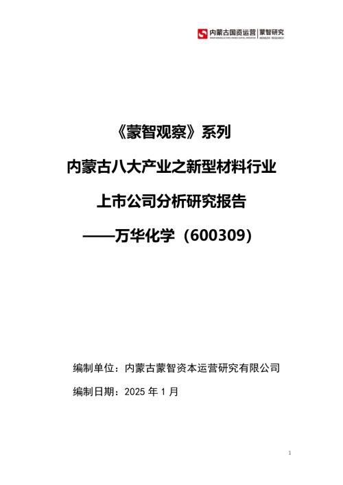 蒙智智库：2025内蒙古八大产业之新型材料行业上市公司分析研究报告 ——万华化学（600309）（54页）.pdf